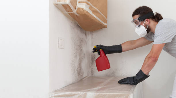 Professional Attic Mold Remediation technician working in Maugansville, MD